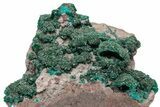 Dark Green Dioptase Crystal Cluster - Congo #111562-1